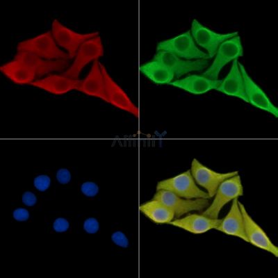 Валидация Affinity DF14057 - 9837