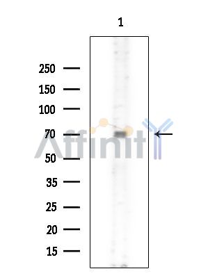 Валидация Affinity AF3926 - 2068