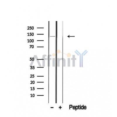 Валидация Affinity DF8323 - 20176
