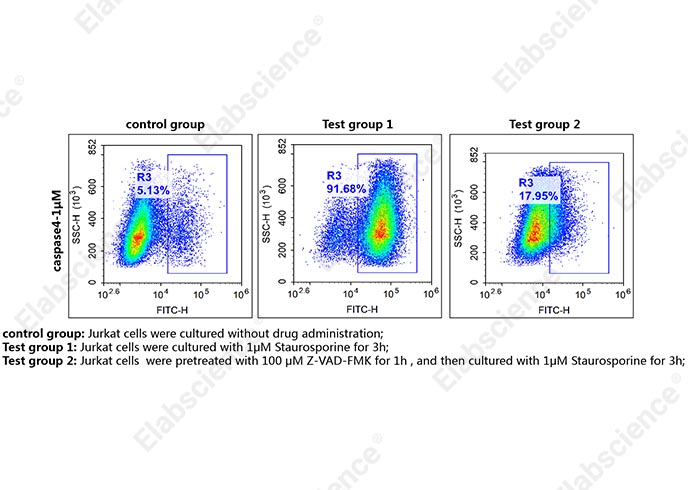 Валидация Elabscience E-CK-A484 - 159
