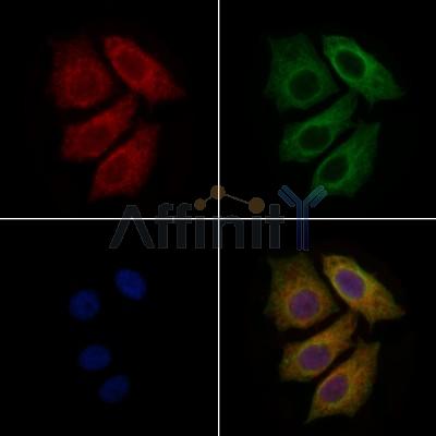 Валидация Affinity DF4376 - 15850