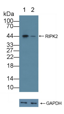 12149