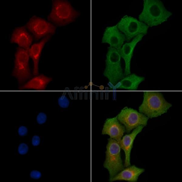 Валидация Affinity DF13254 - 8327