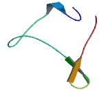 Chemokine C-X-C-Motif Receptor 6 (CXCR6) Chemokine C-X-C-Motif Receptor 6 (CXCR6)