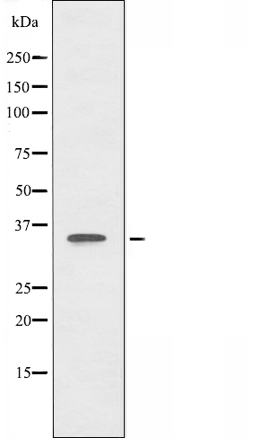 Валидация Affinity DF3317 - 14182
