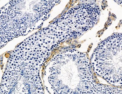 Валидация Affinity DF9204 - 21597