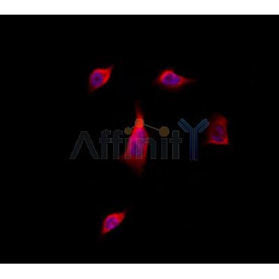 Валидация Affinity DF7517 - 19258