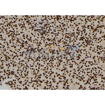 Валидация Affinity DF6191 - 17443