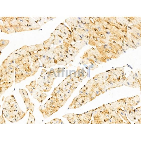 Валидация Affinity DF13568 - 9026