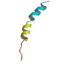 Melanocortin 4 Receptor (MC4R) Melanocortin 4 Receptor (MC4R)