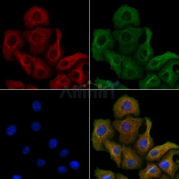 Валидация Affinity DF8907 - 21033