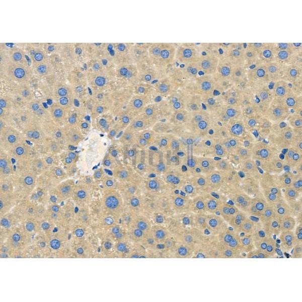 Валидация Affinity DF10128 - 5643