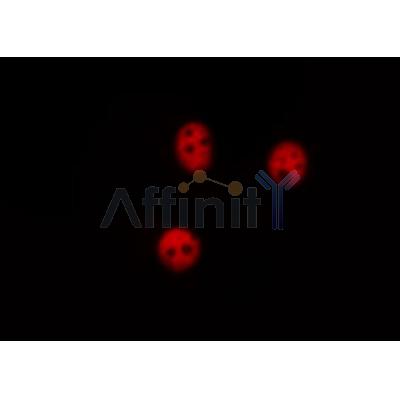 Валидация Affinity AF6183 - 3406