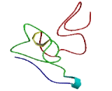 CD27 Binding Protein (CD27BP) CD27 Binding Protein (CD27BP)