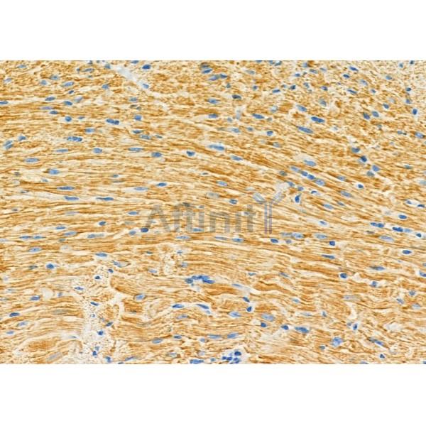 Валидация Affinity DF9882 - 22828