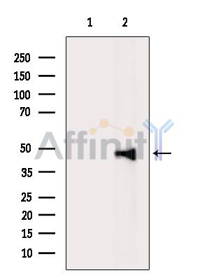Валидация Affinity DF13924 - 9669