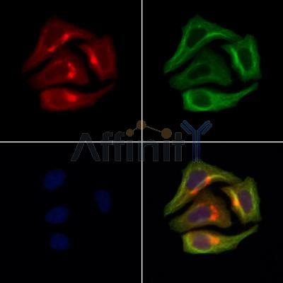 Валидация Affinity DF13413 - 8704