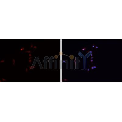 Валидация Affinity DF6465 - 17855