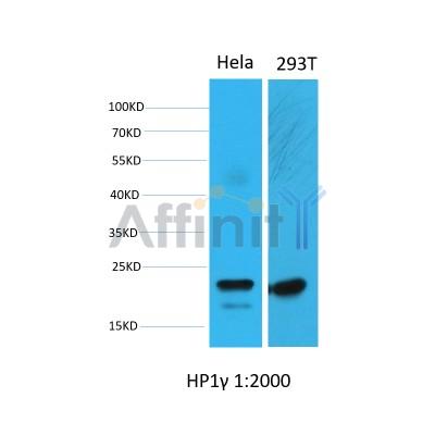 Валидация Affinity BF0723 - 5396