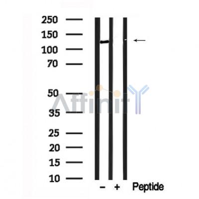Валидация Affinity AF7648 - 4324