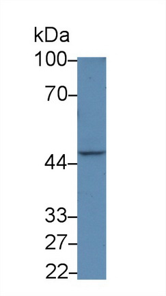 13844