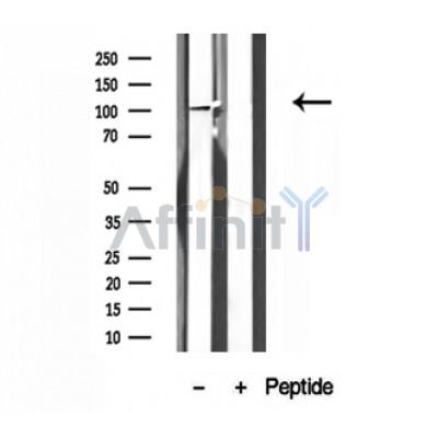 Валидация Affinity DF12124 - 6273