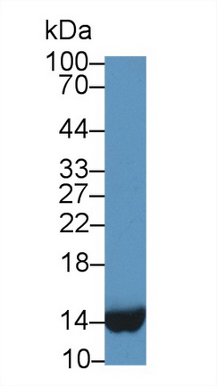 1679