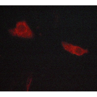 Валидация Affinity AF5315 - 2875