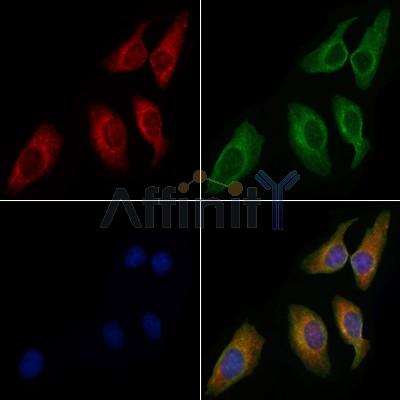 Валидация Affinity DF7649 - 19417