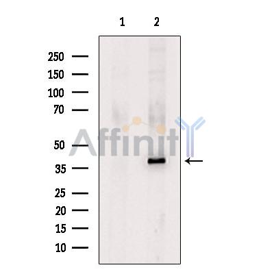 Валидация Affinity DF6560 - 17997