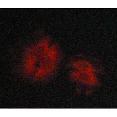 Валидация Affinity AF6133 - 3353