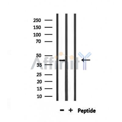 Валидация Affinity DF10234 - 5812