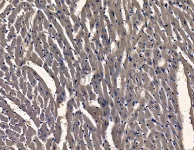 Валидация Affinity DF15915 - 12429