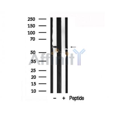 Валидация Affinity AF7887 - 4630