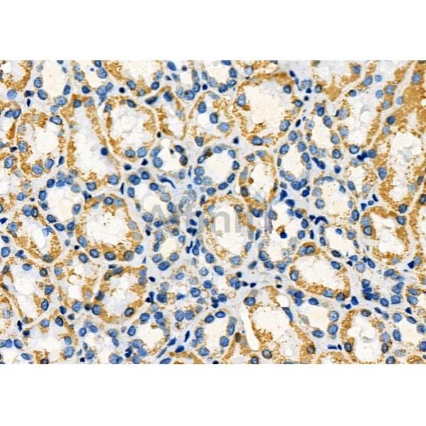 Валидация Affinity DF7044 - 18680