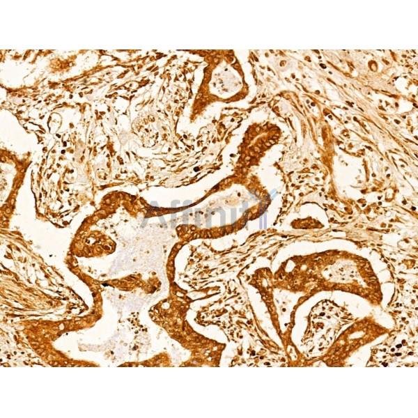 Валидация Affinity AF4022 - 2124