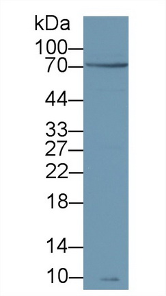 9705