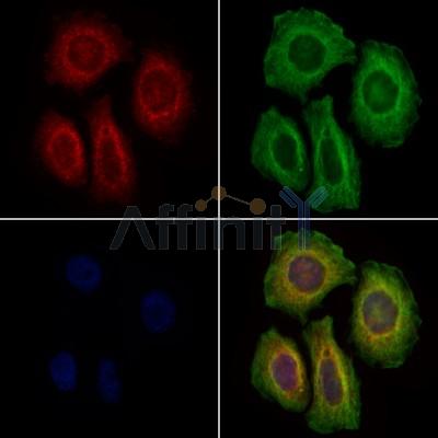 Валидация Affinity DF9052 - 21306