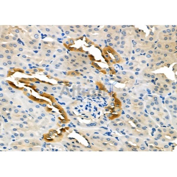 Валидация Affinity DF6719 - 18246