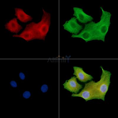 Валидация Affinity DF3311 - 14176