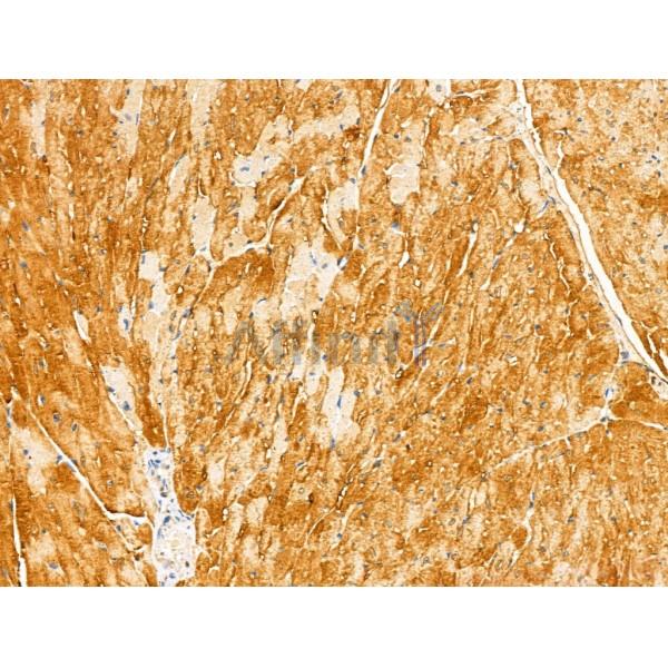 Валидация Affinity DF13116 - 8023