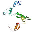 Zinc Finger Protein 793 (ZNF793)