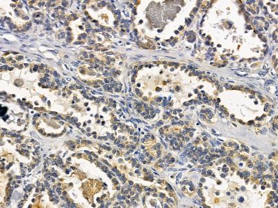 Валидация Affinity DF3960 - 15168