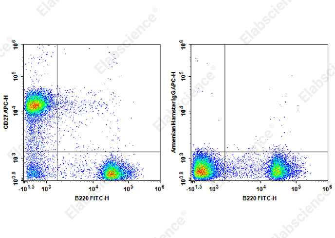 Валидация Elabscience AN00322E