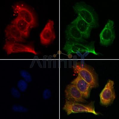 Валидация Affinity AF5205 - 2661