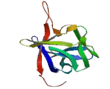Fibroblast Growth Factor 21 (FGF21) Fibroblast Growth Factor 21 (FGF21)