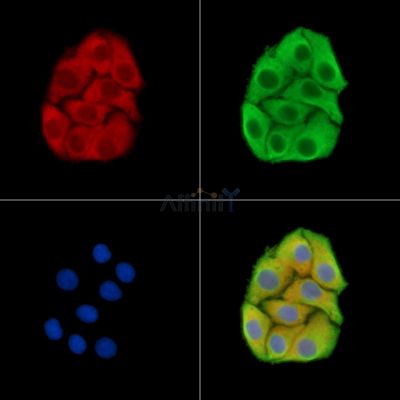 Валидация Affinity DF15350 - 11650