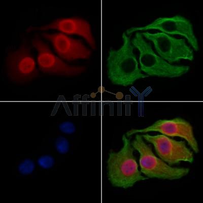 Валидация Affinity DF6931 - 18538