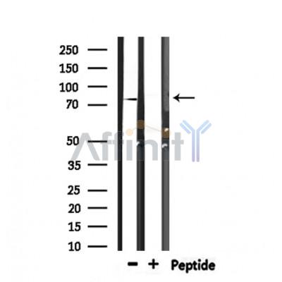 Валидация Affinity DF6858 - 18434