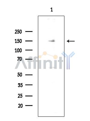 Валидация Affinity DF15285 - 11577